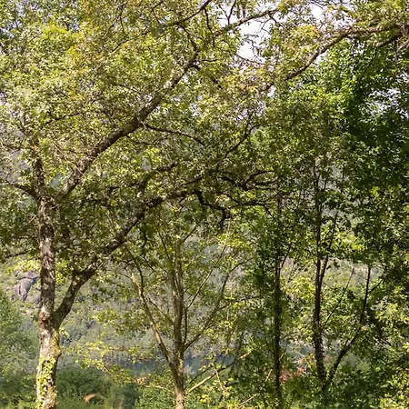 Сasa de vacaciones Casinha De Campo