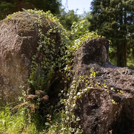 Casinha De Campo Hébergement de vacances *